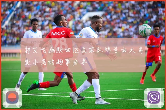 郭艾伦幽默回忆国家队绰号由大鸟变小鸟的趣事分享